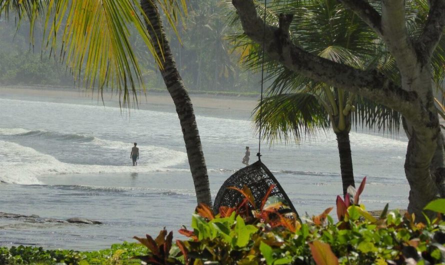 Bali Masih Jadi Favorit Turis Mancanegara, Kenapa?